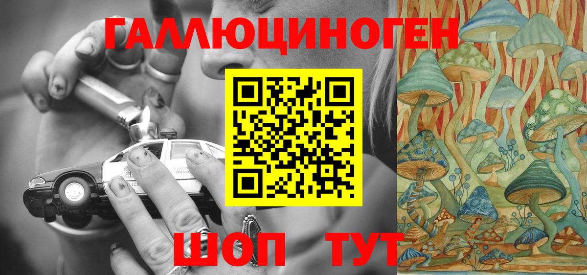 Надым  Галлюциногенные грибы Cubensis  Вход с VPN 